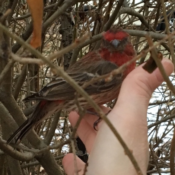 Welcome to my Closet! - Picture 1 of 8